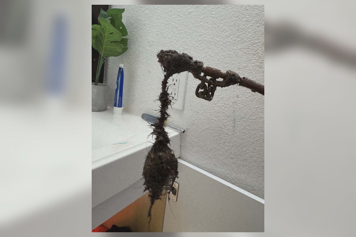 Drain cleaning and clog removal in Las Vegas, NV